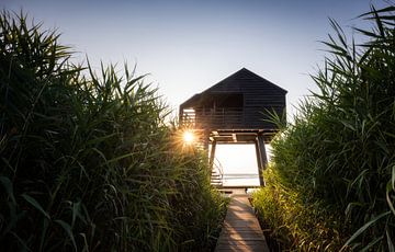 De Kiekkaaste bij Zonsondergang: Een Betoverend Uitzicht vanaf het Vlonderpad van Hevonax Photography