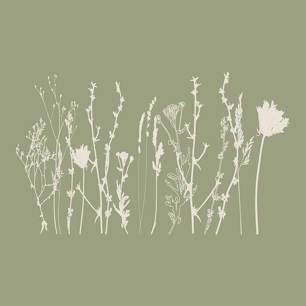 Meadow Botanical art in Sage Green and Beige no. 6 by Dina Dankers