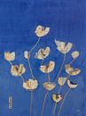 Kims tulpen, Kellie Day van Wild Apple thumbnail