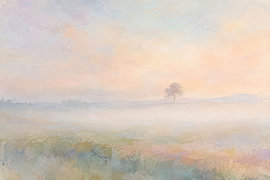 a solitary tree in the mist