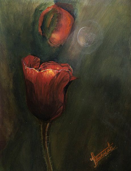 Wilde veldbloemen van Henk Goossens