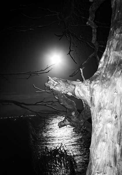 Mond von Rafael Campezato