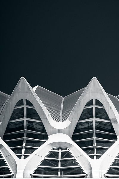 Calatrava-Formen von Martijn Kort