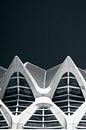 Formes de Calatrava par Martijn Kort Aperçu