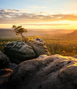 Sonnenuntergang in der Sächsischen Schweiz