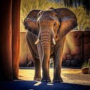 Olifant in de dierentuin van Digital Art Nederland thumbnail