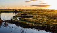 Vroege zon in de polder