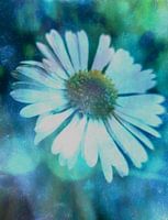 FLOWER IN BLUE