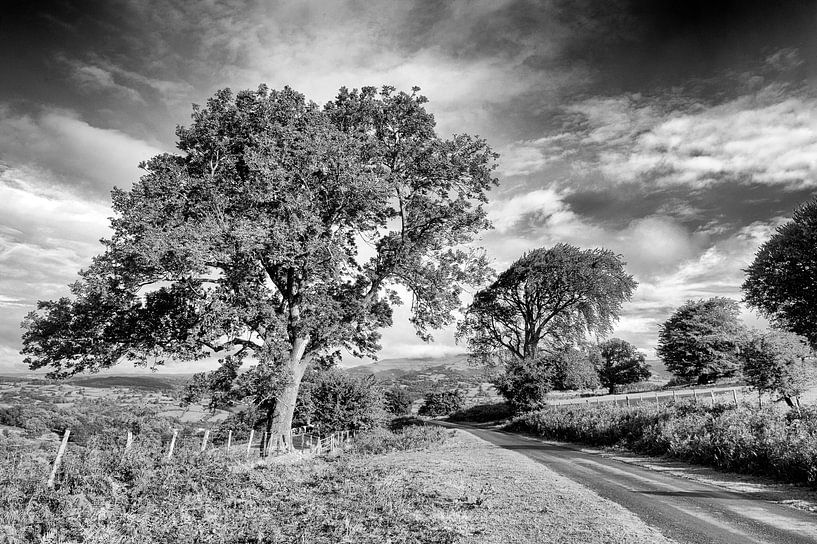 Brecon Beacons by Richard Wareham
