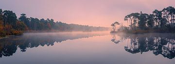 Panorama en zonsopkomst bij de Oisterwijkse Bossen en Vennen van Henk Meijer Photography