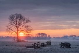 Through the tree by Erik de Jong
