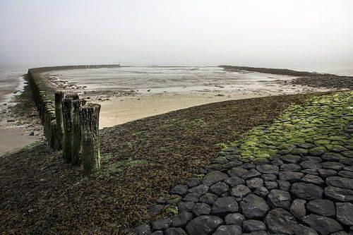 Mistig op de Westerschelde