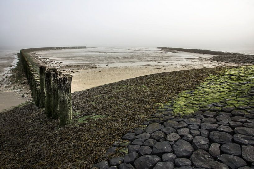 Mistig op de Westerschelde van Niek Goossen