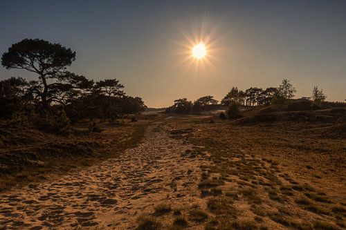 Gouden uur bij zandverstuiving met de zon als stervorm