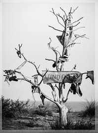 Baum finden von Stephanie Prozee