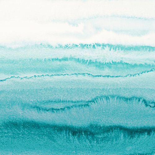 DANS LES MARÉES Coquille de limpide