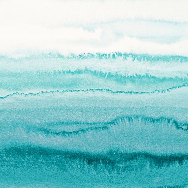 WITHIN THE TIDES Limpet Shell by Monika Strigel