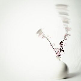 Moment in Motion: Ein Tanz aus Licht und Blume von Maikel van der Beek