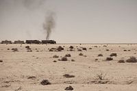 Desert train