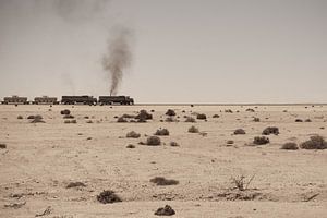 Desert train von vanrijsbergen