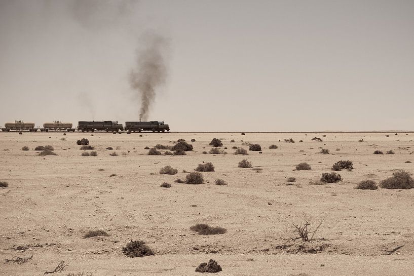 Desert train van Studio Wanderlove