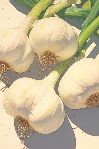 Ail fraîchement récolté dans un ballet de lumière douce