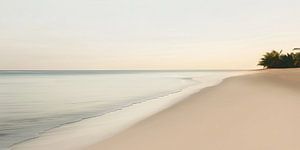 Plage en grand format