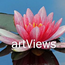 artviews photo de profil