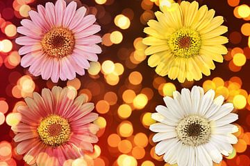 Kleurrijke bloemen met sprankelende lichten achtergrond van Art & Soul Creations