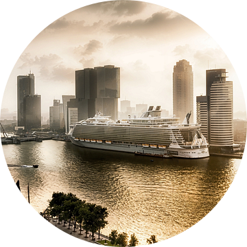 The Oasis of the Seas in Rotterdam van Sylvester Lobé
