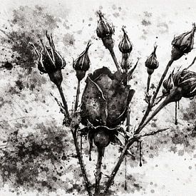 Between growth and decay by Johnny Flash