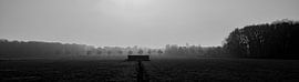 Black and white landscapephoto Munsterbos by Tom De Peuter