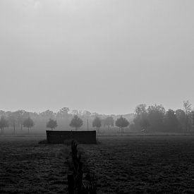 Zwart-wit landschapfoto Munsterbos van Tom De Peuter