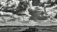 Het Noord Hollands landschap in zwart wit op een heerlijke dag aan het begin van de zomer van Hans de Waay thumbnail