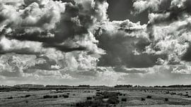 The North Dutch landscape in black and white on a lovely day at the beginning of summer