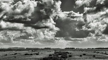 Het Noord Hollands landschap in zwart wit op een heerlijke dag aan het begin van de zomer van Hans de Waay