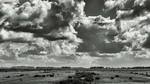 The North Dutch landscape in black and white on a lovely day at the beginning of summer