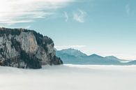 Berg mit buntem Nadelwald über den Wolken von Dornbirn, Österreich von Besa Art Miniaturansicht