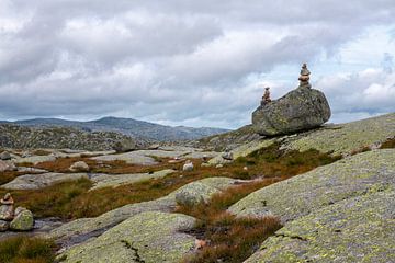 Lysebotn in Noorwegen van Hanneke Luit