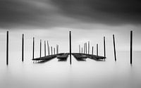 The Oyster Bar by Christophe Staelens thumbnail