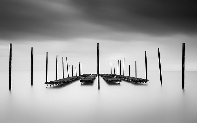 Le bar à huîtres par Christophe Staelens