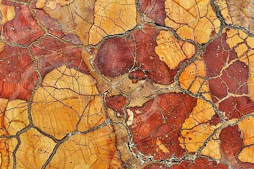 Herfstbladeren met Gebarsten Tetuur