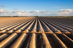 Acres néerlandaises / Terres arables sur Ton Drijfhamer