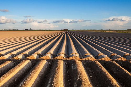 Dutch acres / Arable land by Ton Drijfhamer