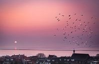 Zonsopkomst bij West-Terschelling met vogels, Nederland van Rietje Bulthuis thumbnail