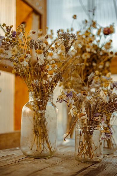 Trockenblumen in Gläsern – Warmes Gewächshauslicht &amp; rustikales Holz von Brave Toaster Photos