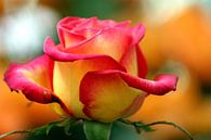 Bloemen 10 van FABIAN Art Gallery thumbnail