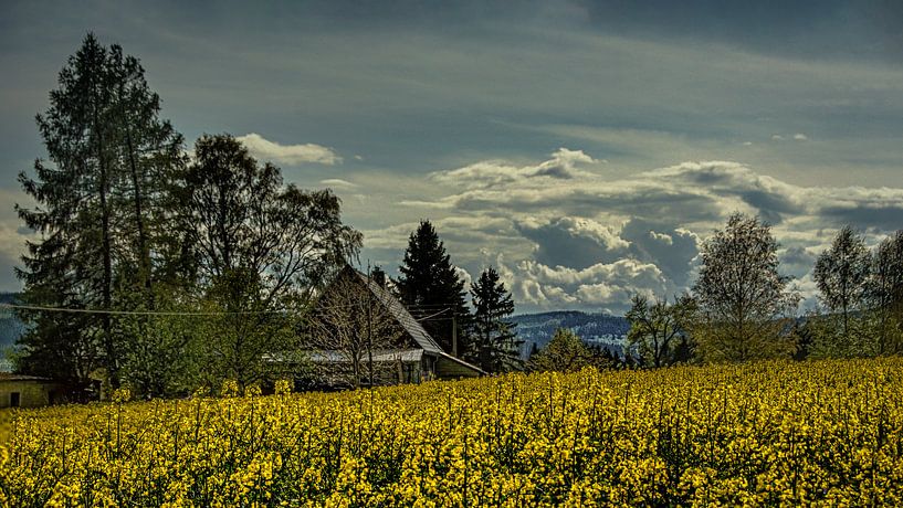 Landschap in het Erzgebergte van Johnny Flash