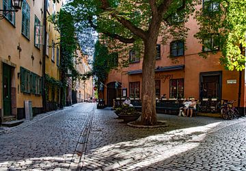 Stockholm,  Gamla Stan-under kastanjen van Cilia Brandts