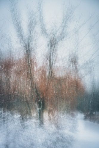 Wolfhezerheide part 164